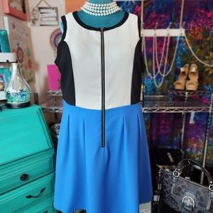 NWT BB Dakota colorblock front zip dress